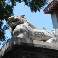 IMG_8212.JPG
